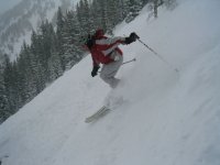 01 alta rich wildcat 060326.jpg