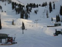 04 alta grooming 060326.jpg