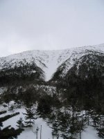 IMG_0550s.jpg