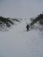 IMG_0552s.jpg