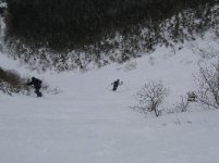 IMG_0555s.jpg