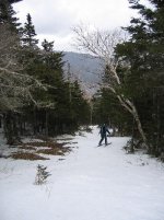IMG_0558s.jpg