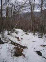 IMG_0562s.jpg