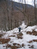 IMG_0563s.jpg