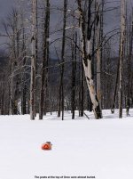 26MAR06E.jpg