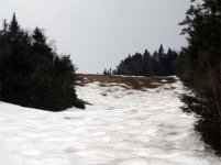 040106mrg06.jpg