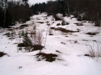 040106mrg08.jpg