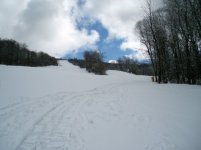 040506burke01.jpg
