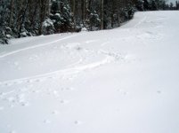 040506burke08.jpg