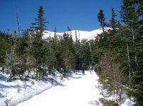 040906tuckerman01.jpg