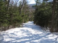 GoS ski trail.JPG