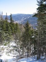 trail Wildcat in dist.JPG