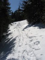 typical snow pack on upper half.JPG