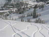 01 snowbird gad tracks 060418.jpg