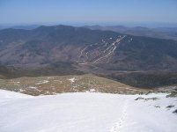 IMG_0885s.JPG