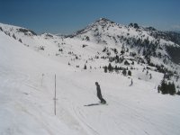 01 snowbird lupine loop 060514.jpg