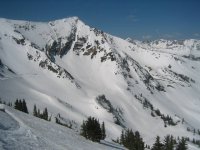 04 snowbird af twin peaks 060514.jpg