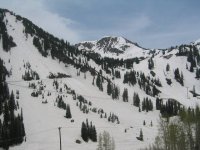 22 alta collins gulch 060603.jpg