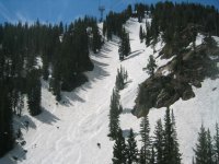 01 snowbird daltons 060604.jpg