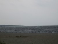 IMG_1355.JPG