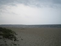 IMG_1356.JPG