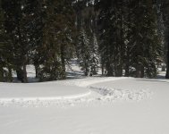 1015SawtoothTrack1.JPG
