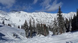 alta 8.jpg