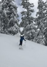 0175TonySkiing.jpg