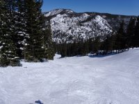 Image00006.jpg