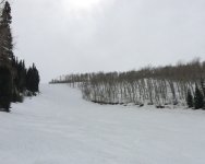 4090SilverSkis@340.JPG