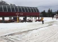 4093PondSkim2.JPG