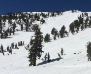 4590Slide@942.JPG