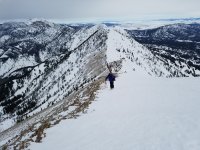 20180301_120133.jpg