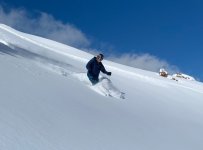 6933TonyEagle2C (2).jpg