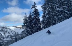 6954TonyPalisades (2).jpg