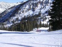 02 snowbird bassackwards 061124.jpg