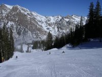 04 snowbird bassackwards 061124.jpg