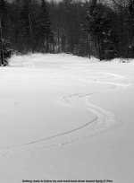 19DEC06B.jpg