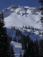03 alta backside 061224.jpg