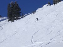 06 alta bob skiing greeley hill 061224.jpg