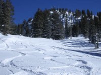 10 alta supreme 061224.jpg