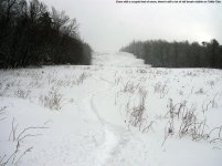 20JAN07B.jpg