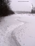 20JAN07C.jpg