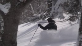 2-7-06 Don E#3JPG.jpg