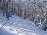 IMG_1090s.jpg