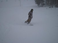 groomer pow.JPG