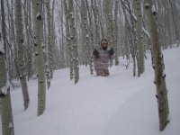 deep in this tree well.JPG