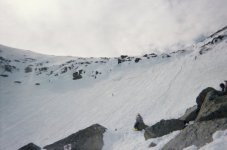 tucks5.jpg