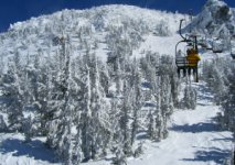 chair14_4.jpg