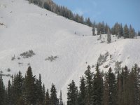 04 alta armpit 071021.jpg